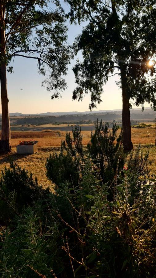 Agriturismo Uliveto Gretacci Монтемерано Экстерьер фото