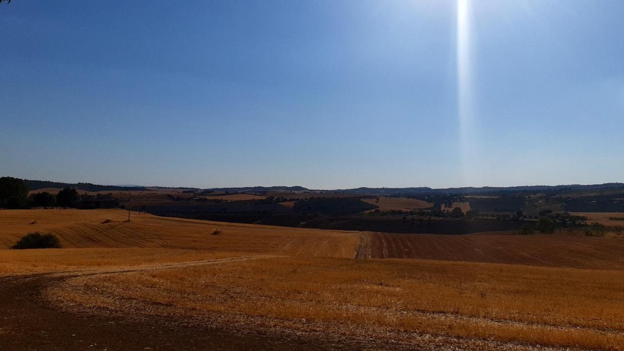 Agriturismo Uliveto Gretacci Монтемерано Экстерьер фото