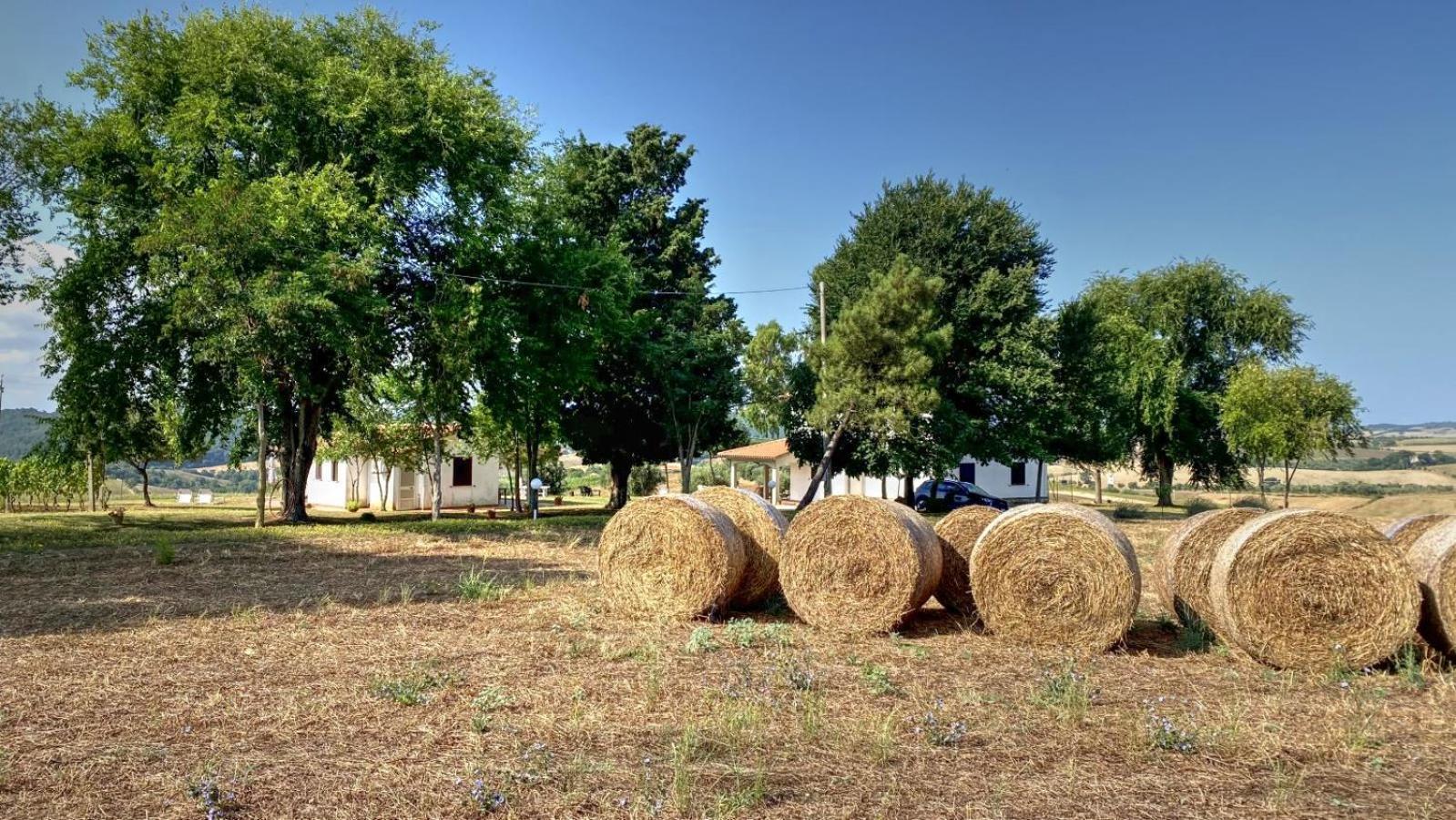 Agriturismo Uliveto Gretacci Монтемерано Экстерьер фото