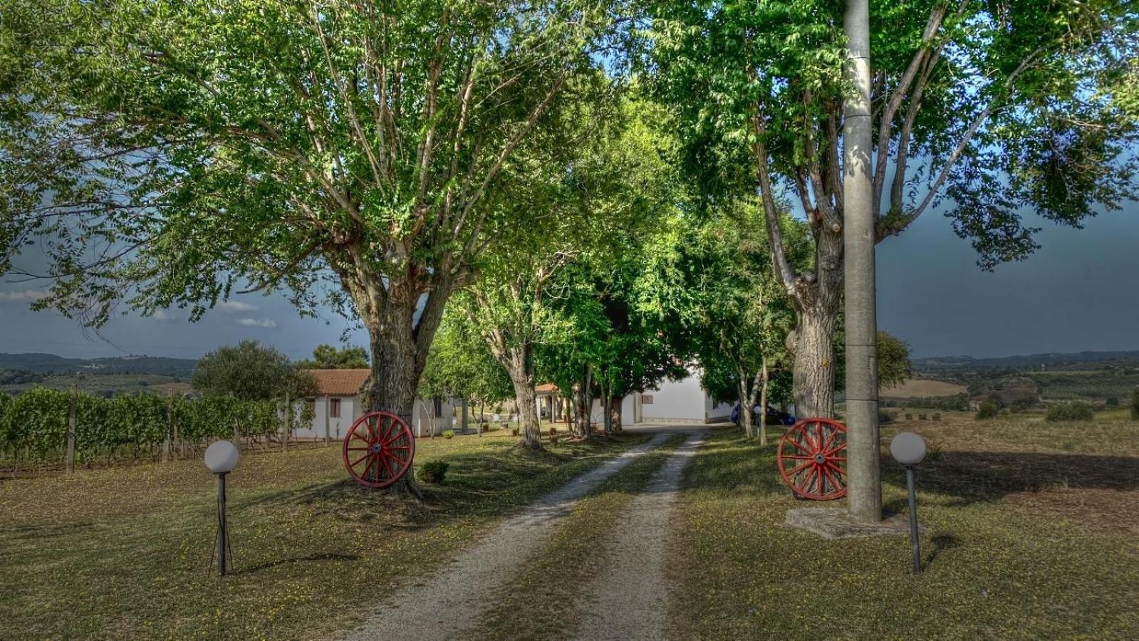 Agriturismo Uliveto Gretacci Монтемерано Экстерьер фото