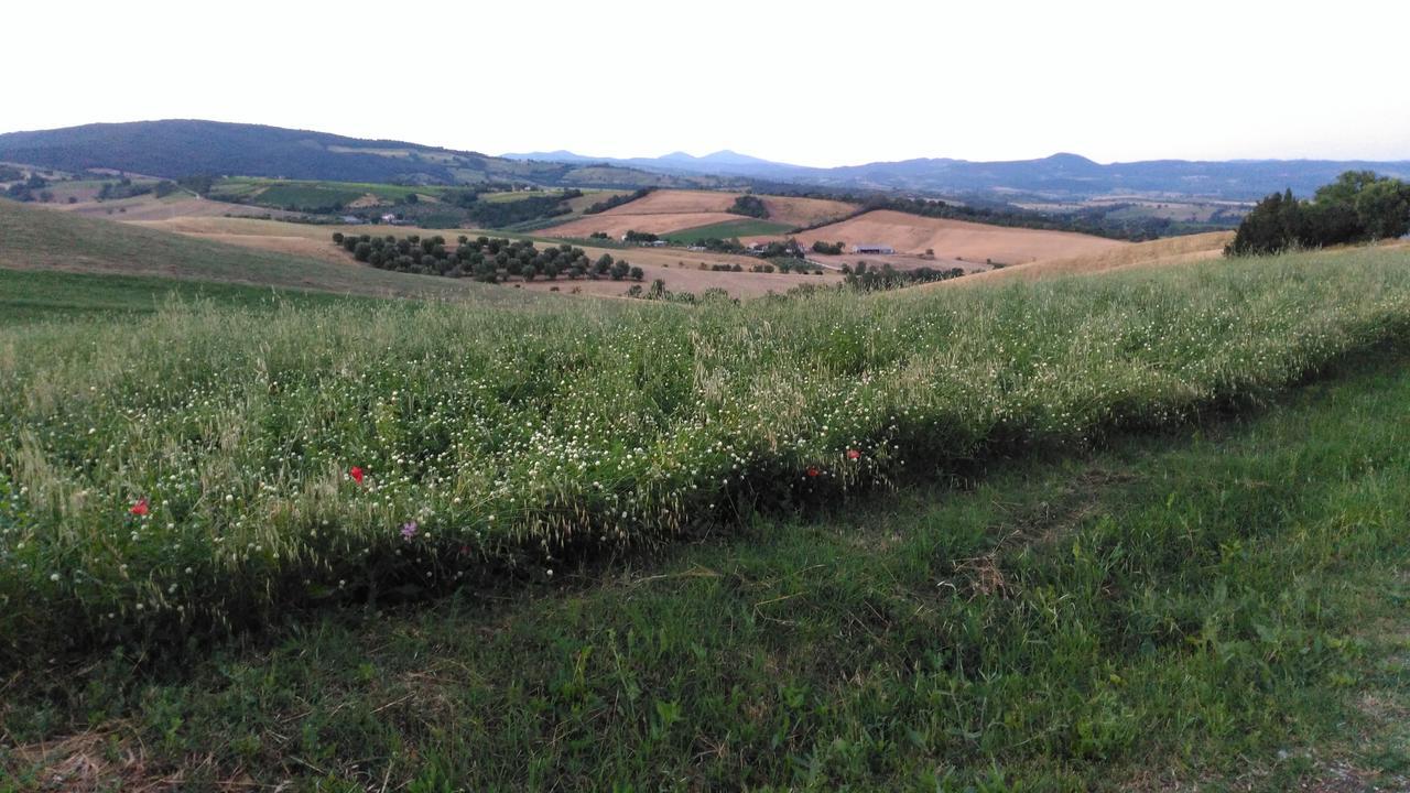 Agriturismo Uliveto Gretacci Монтемерано Экстерьер фото