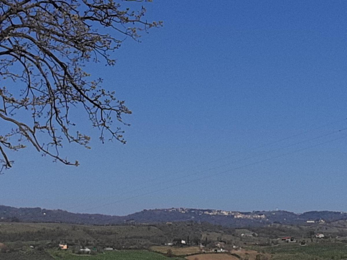 Agriturismo Uliveto Gretacci Монтемерано Экстерьер фото